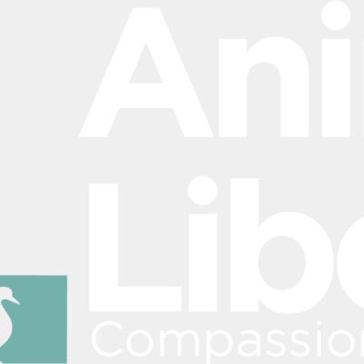 AL Logo white Thumbnail