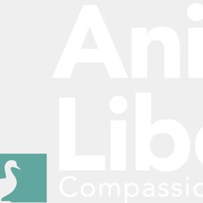 AL logo PIG DUCK white Thumbnail