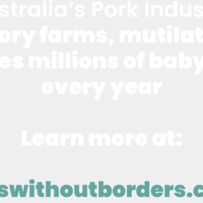 Australia s Pork Industry Thumbnail
