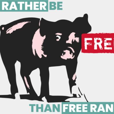 Animal LIb Pig FREE Range T shirt WHITE FRONT Thumbnail